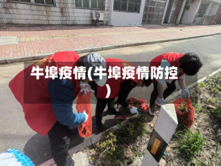 牛埠疫情(牛埠疫情防控)