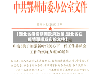 【湖北省疫情期间政府政策,湖北省在疫情期间发布的文件】