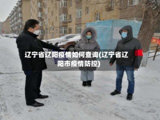 辽宁省辽阳疫情如何查询(辽宁省辽阳市疫情防控)