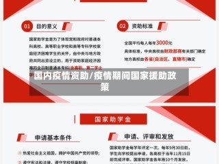国内疫情资助/疫情期间国家援助政策