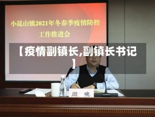 【疫情副镇长,副镇长书记】