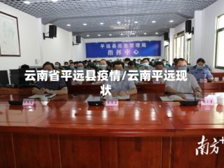 云南省平远县疫情/云南平远现状