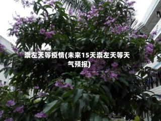 崇左天等疫情(未来15天崇左天等天气预报)