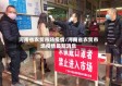 河南省农贸市场疫情/河南省农贸市场疫情最新消息