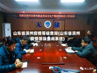 山东省滨州疫情等级查询(山东省滨州疫情等级查询系统)