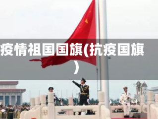 疫情祖国国旗(抗疫国旗)