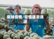 衰掉疫情/疫情逐渐消退