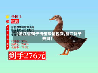 【浙江省鸭子抗击疫情视频,浙江鸭子费用】