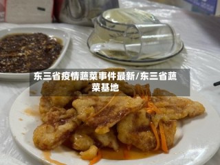 东三省疫情蔬菜事件最新/东三省蔬菜基地