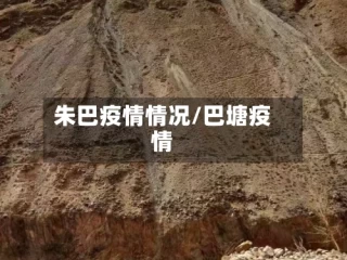 朱巴疫情情况/巴塘疫情