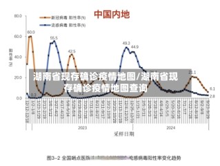 湖南省现存确诊疫情地图/湖南省现存确诊疫情地图查询