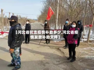 【河北省抗击疫情补助多少,河北省疫情发放补助文件】
