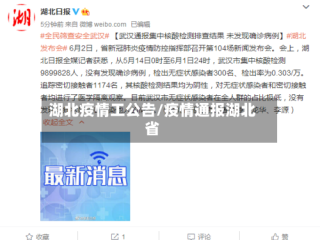湖北疫情工公告/疫情通报湖北省