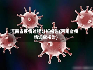 河南省疫情过程分析报告(河南省疫情调查报告)