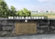 疫情下的古镇/疫情下的故乡范文