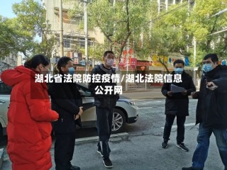 湖北省法院防控疫情/湖北法院信息公开网