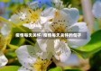 疫情每天关怀/疫情每天关怀的句子
