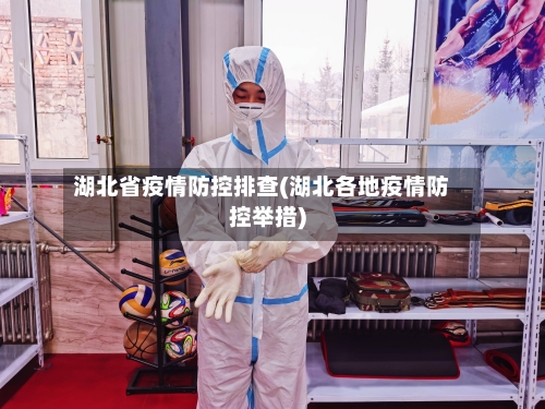 湖北省疫情防控排查(湖北各地疫情防控举措)-第2张图片