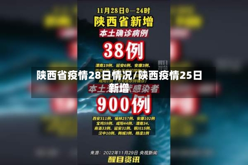陕西省疫情28日情况/陕西疫情25日新增-第3张图片