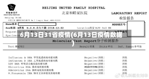 6月13日31省疫情(6月13日疫情数据)-第2张图片