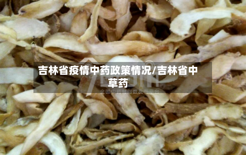 吉林省疫情中药政策情况/吉林省中草药-第1张图片