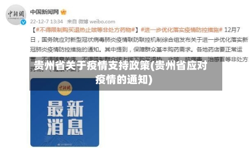 贵州省关于疫情支持政策(贵州省应对疫情的通知)-第2张图片