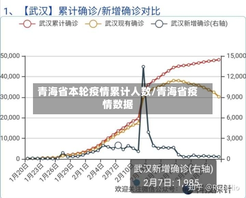 青海省本轮疫情累计人数/青海省疫情数据-第2张图片