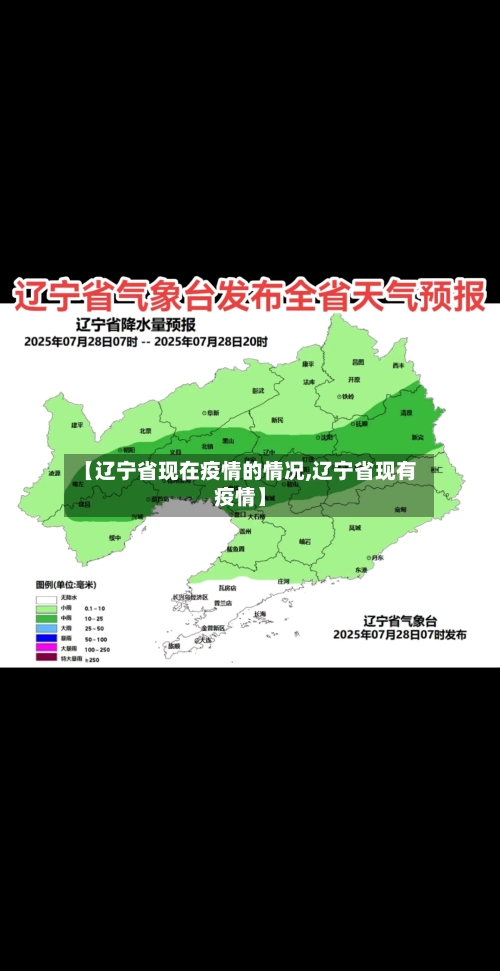 【辽宁省现在疫情的情况,辽宁省现有疫情】-第1张图片