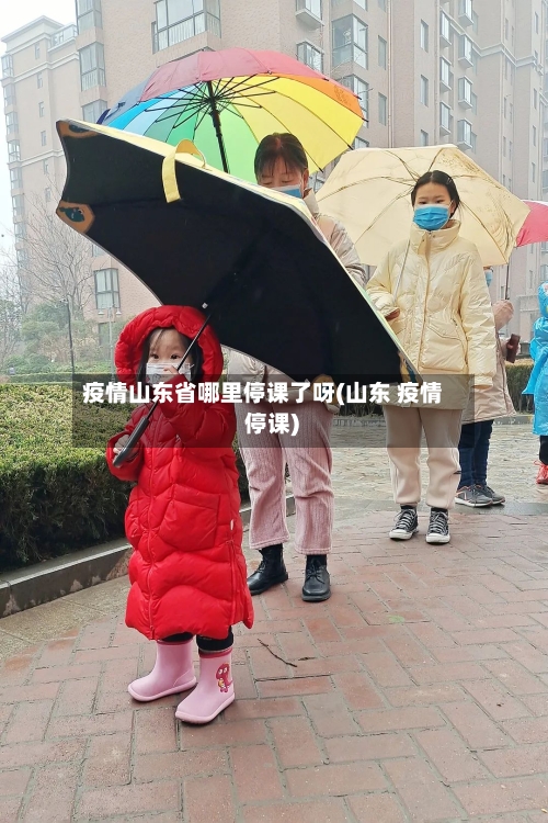 疫情山东省哪里停课了呀(山东 疫情 停课)-第2张图片