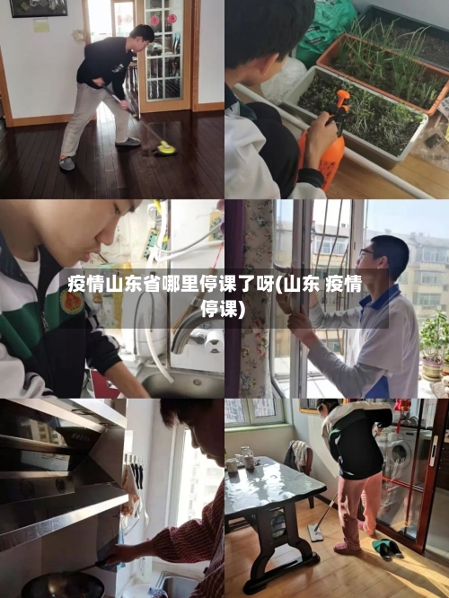疫情山东省哪里停课了呀(山东 疫情 停课)-第3张图片