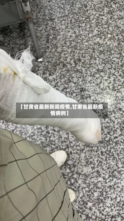 【甘肃省最新新闻疫情,甘肃省最新疫情病例】-第2张图片