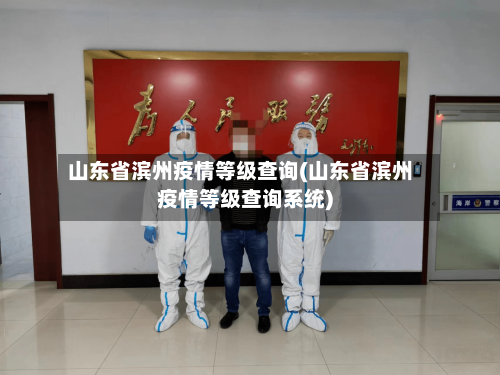 山东省滨州疫情等级查询(山东省滨州疫情等级查询系统)-第3张图片