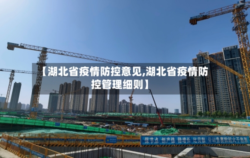 【湖北省疫情防控意见,湖北省疫情防控管理细则】-第3张图片