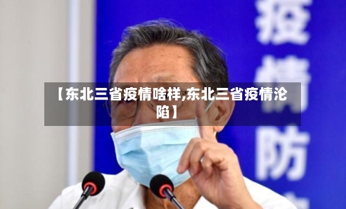 【东北三省疫情啥样,东北三省疫情沦陷】-第2张图片