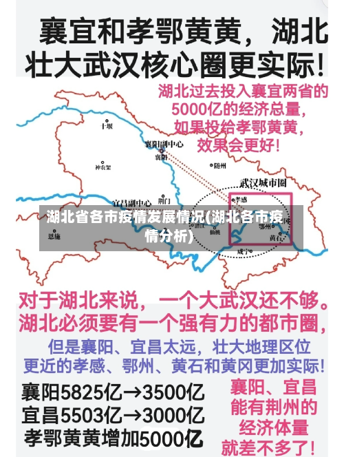 湖北省各市疫情发展情况(湖北各市疫情分析)-第2张图片