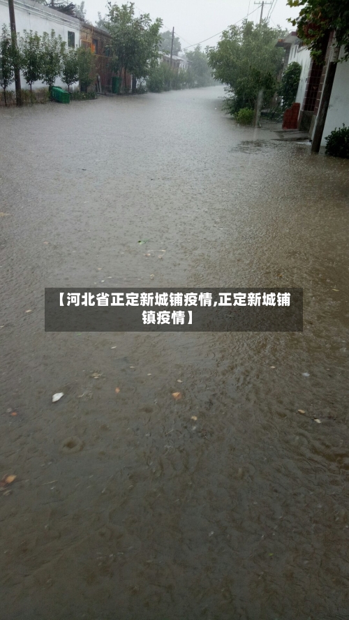 【河北省正定新城铺疫情,正定新城铺镇疫情】-第1张图片
