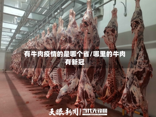 有牛肉疫情的是哪个省/哪里的牛肉有新冠-第3张图片
