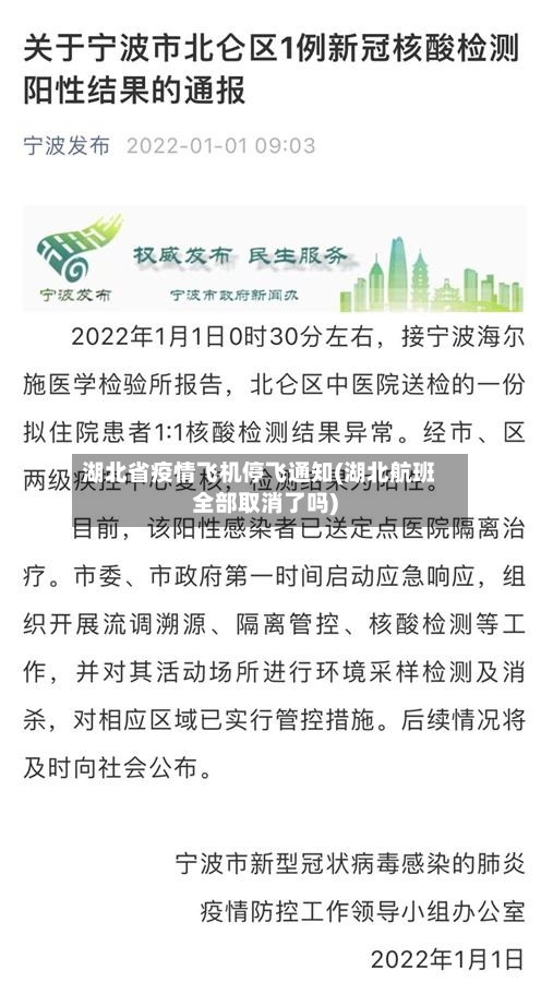湖北省疫情飞机停飞通知(湖北航班全部取消了吗)-第2张图片