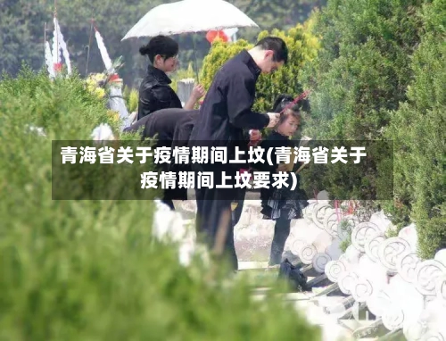 青海省关于疫情期间上坟(青海省关于疫情期间上坟要求)-第3张图片