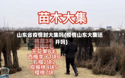 山东省疫情封大集吗(疫情山东大集还开吗)-第1张图片