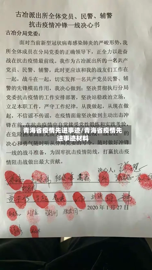 青海省疫情先进事迹/青海省疫情先进事迹材料-第2张图片