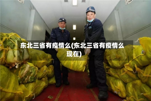 东北三省有疫情么(东北三省有疫情么现在)-第3张图片