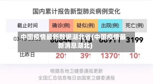 中国疫情最新数据湖北省(中国疫情最新消息湖北)-第2张图片