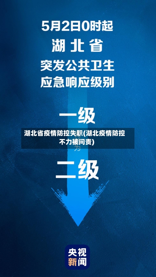 湖北省疫情防控失职(湖北疫情防控不力被问责)-第3张图片