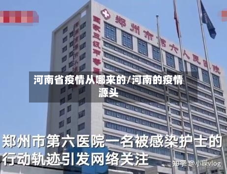 河南省疫情从哪来的/河南的疫情源头-第3张图片