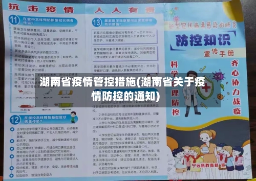 湖南省疫情管控措施(湖南省关于疫情防控的通知)-第2张图片