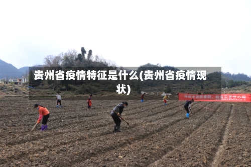 贵州省疫情特征是什么(贵州省疫情现状)-第1张图片