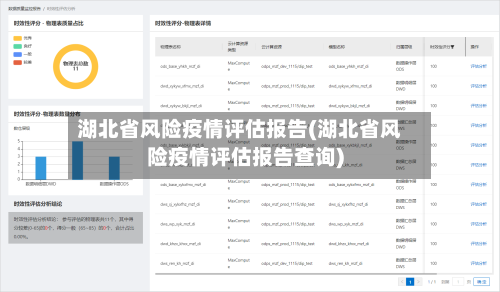 湖北省风险疫情评估报告(湖北省风险疫情评估报告查询)-第3张图片