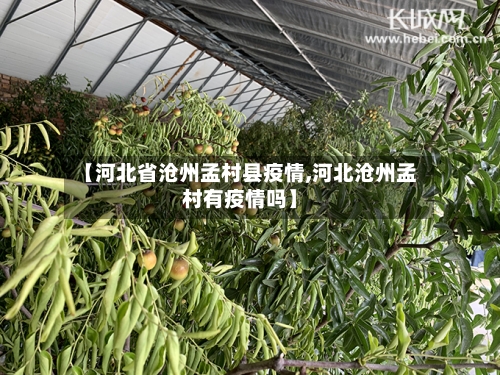 【河北省沧州孟村县疫情,河北沧州孟村有疫情吗】-第2张图片