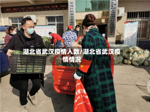 湖北省武汉疫情人数/湖北省武汉疫情情况-第2张图片